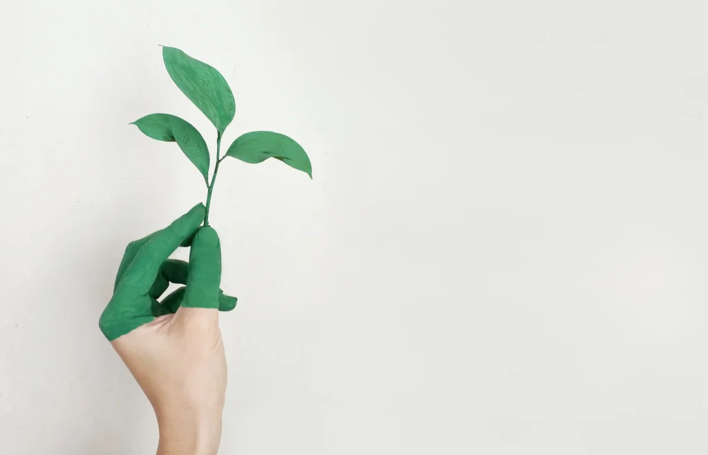 business growth