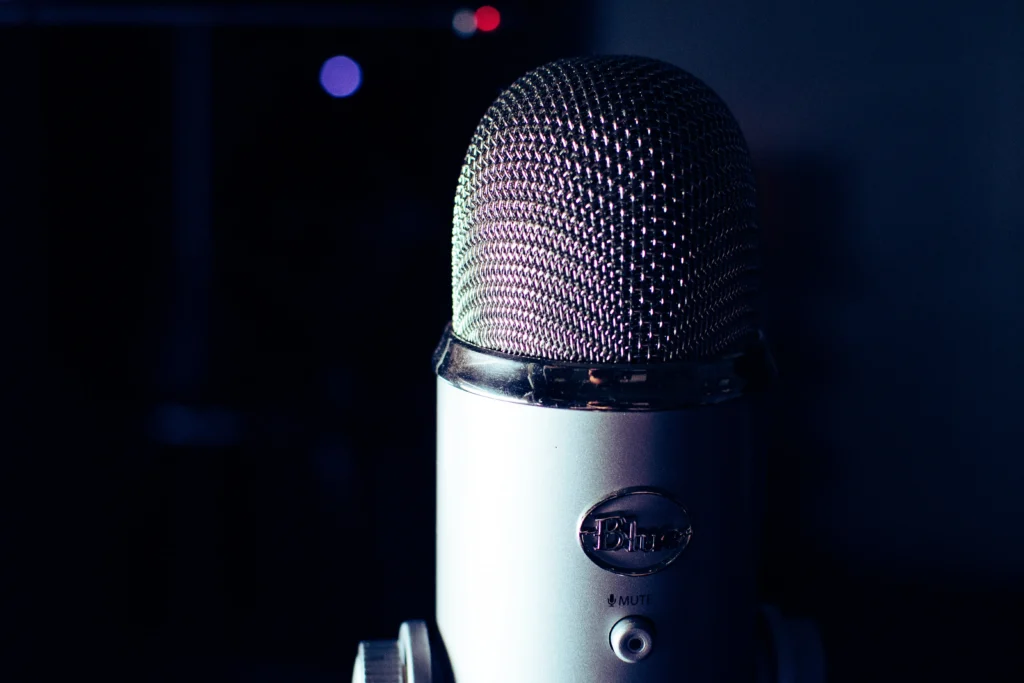 voice search